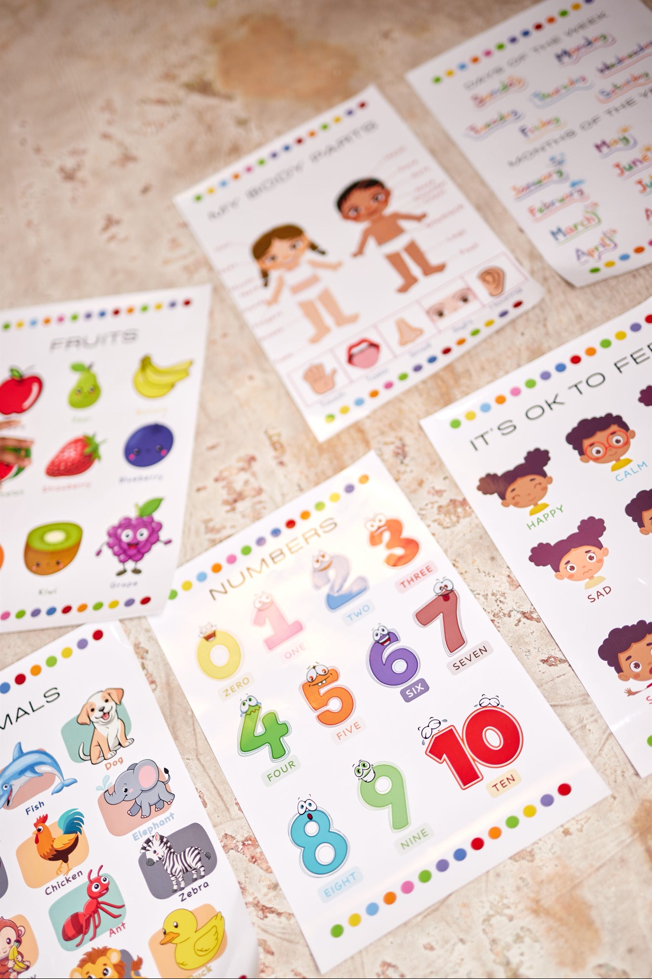 Little Genius Set